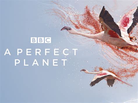 a perfect planet limetorrents|Download .